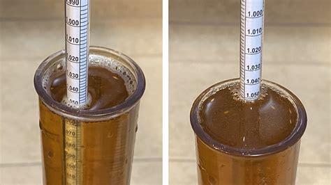 acidulated malt vs lactic acid.